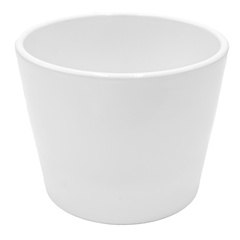 bertopf WEI fr 12cm Sukkulenten