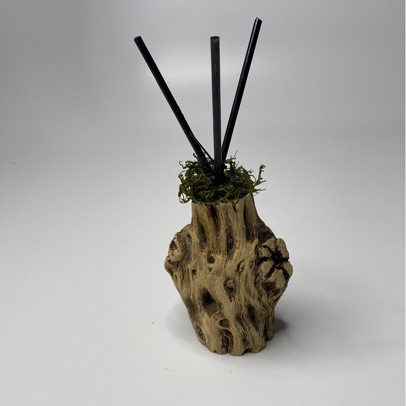 Air plant display