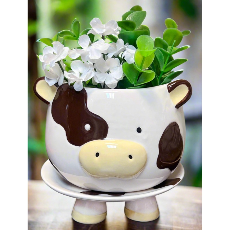 Cow footsie planter