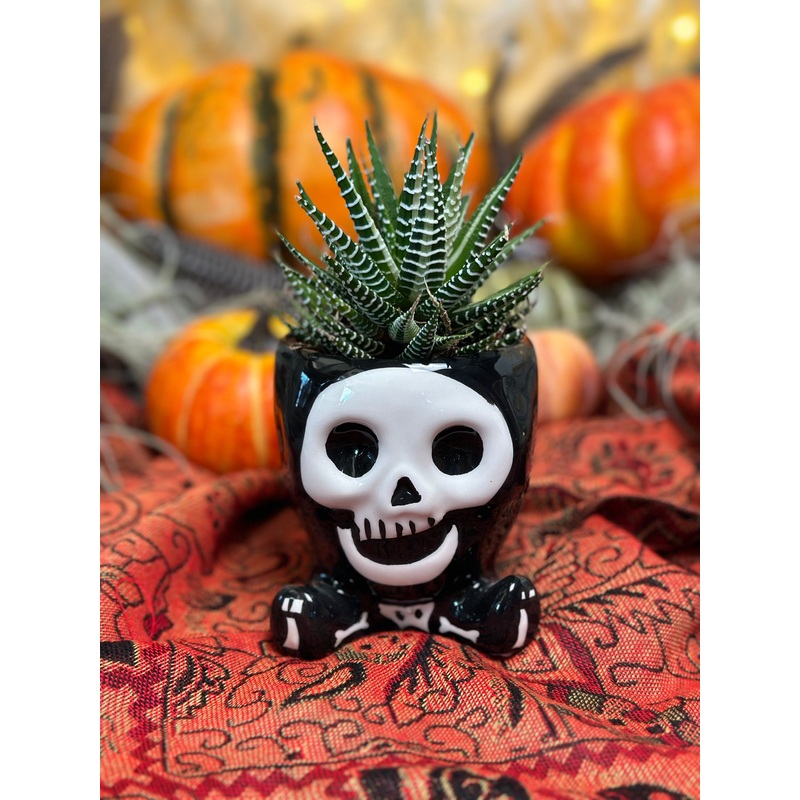 Mr. Bones Planter