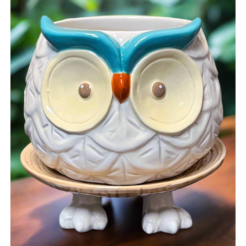 Owl footsie planter