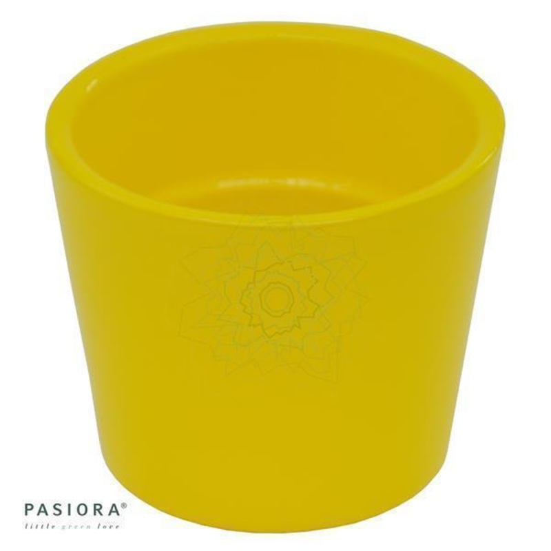 Succulent planter, maize yellow, for 6cm succulents