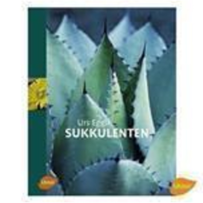 Succulents