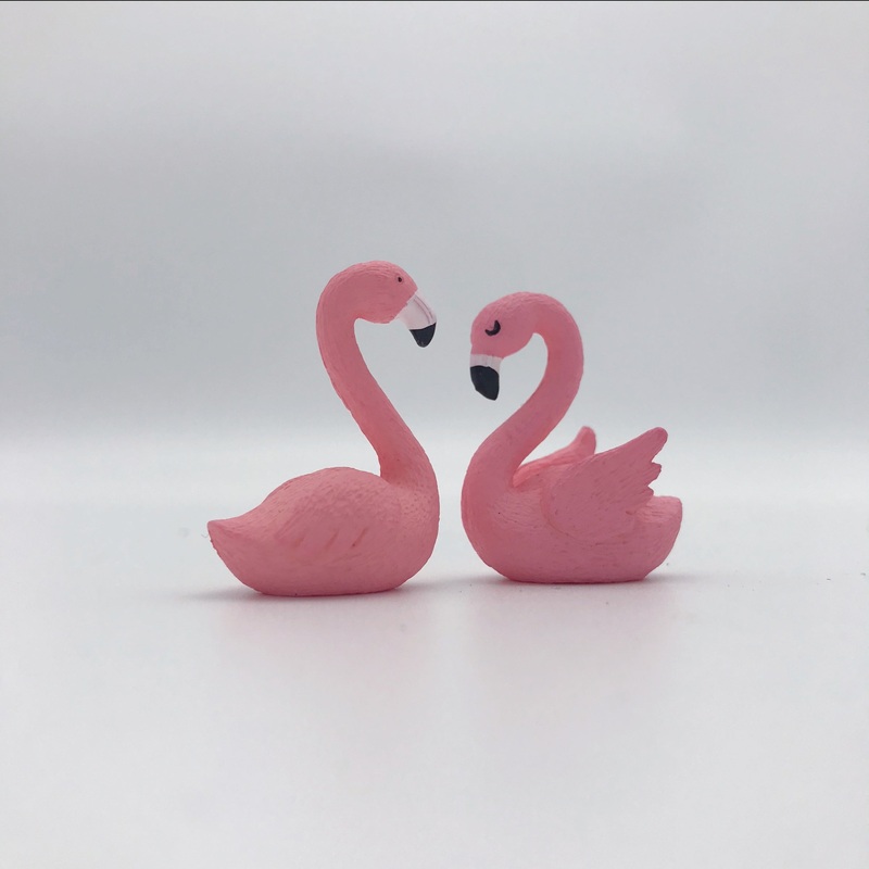 Flamingo|Male|Female