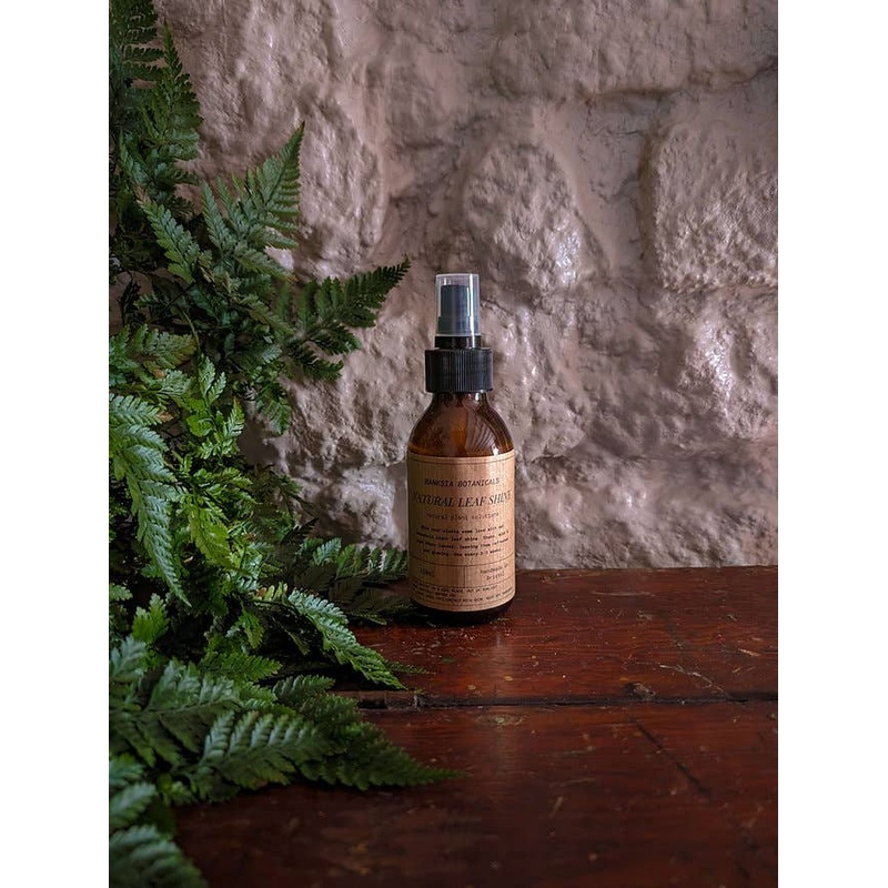 Natural House Plant Leaf Shine