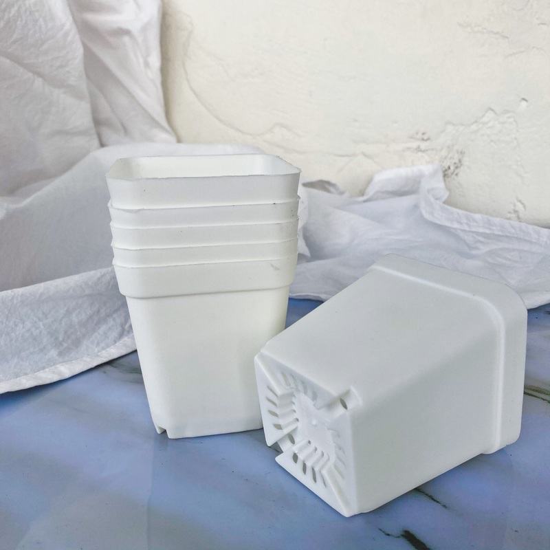 Plastic Nursery Pots|6 plastic pots|100 plastic pots
