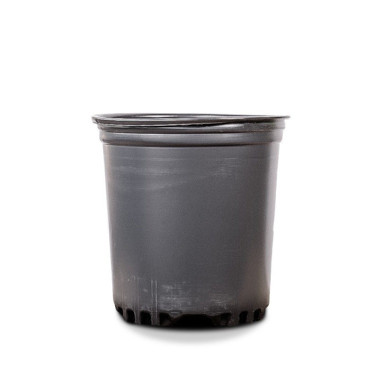 1 Gallon Plastic Plant Pots|25 COUNT|50 COUNT|100 COUNT