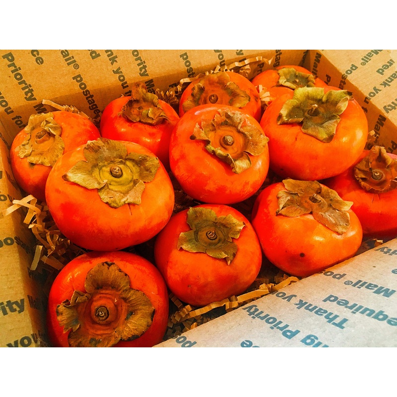 13.5 Ibs Including LARGE BOX Organic Fresh Persimmons Fruit Fuyu Super Sweet Crunchy SHIP IN OCTOBER