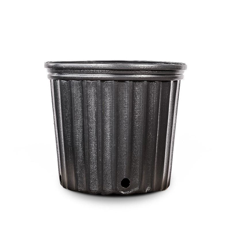 3 Gallon Plastic Plant Pots|10 COUNT|12 COUNT|24 COUNT