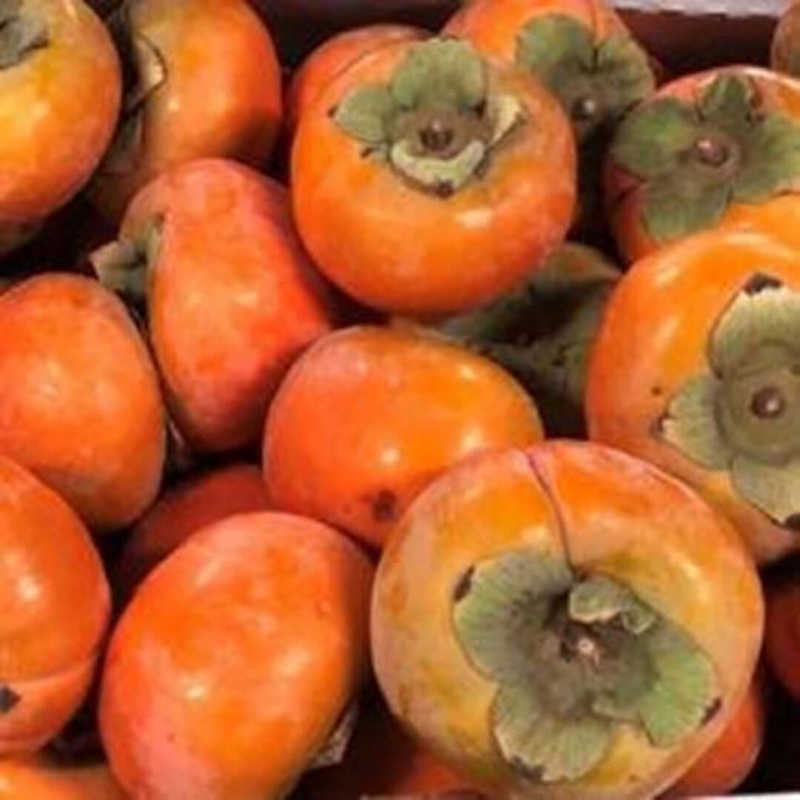 5 Lbs Organic Fresh Persimmon Fruit Fuyu Super Sweet Crunchy SHIP In OCTOBER