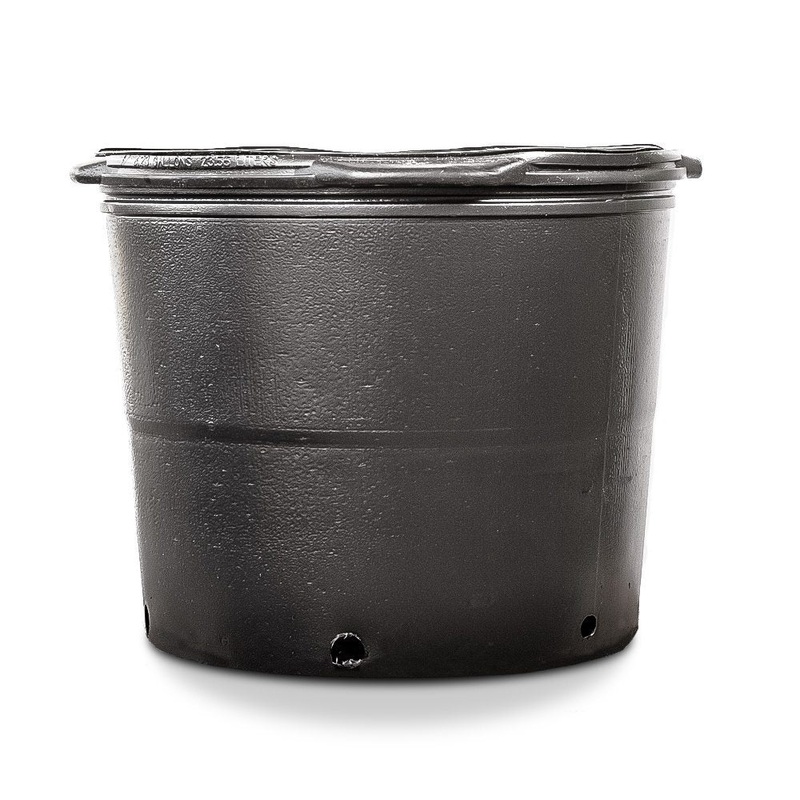7 Gallon Plastic Pots|6 Count|12 Count
