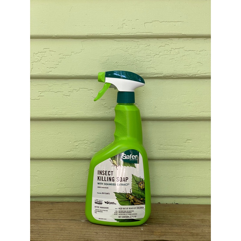 Insect Killing Soap|32 oz Spray Bottle