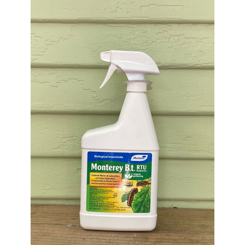 Monterey B.T.|8 oz Bottle