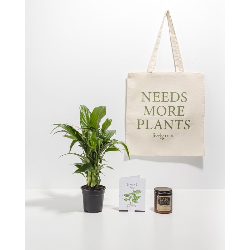 Nature & Nurture Care Package: Best Selling Plant