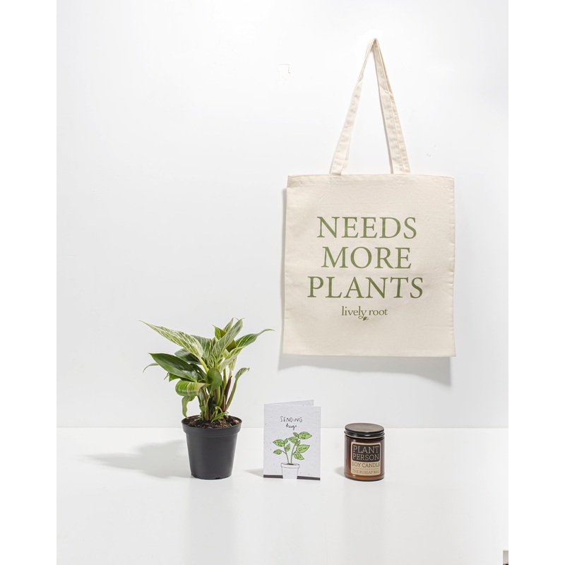 Nature & Nurture Care Package: Unique Plant