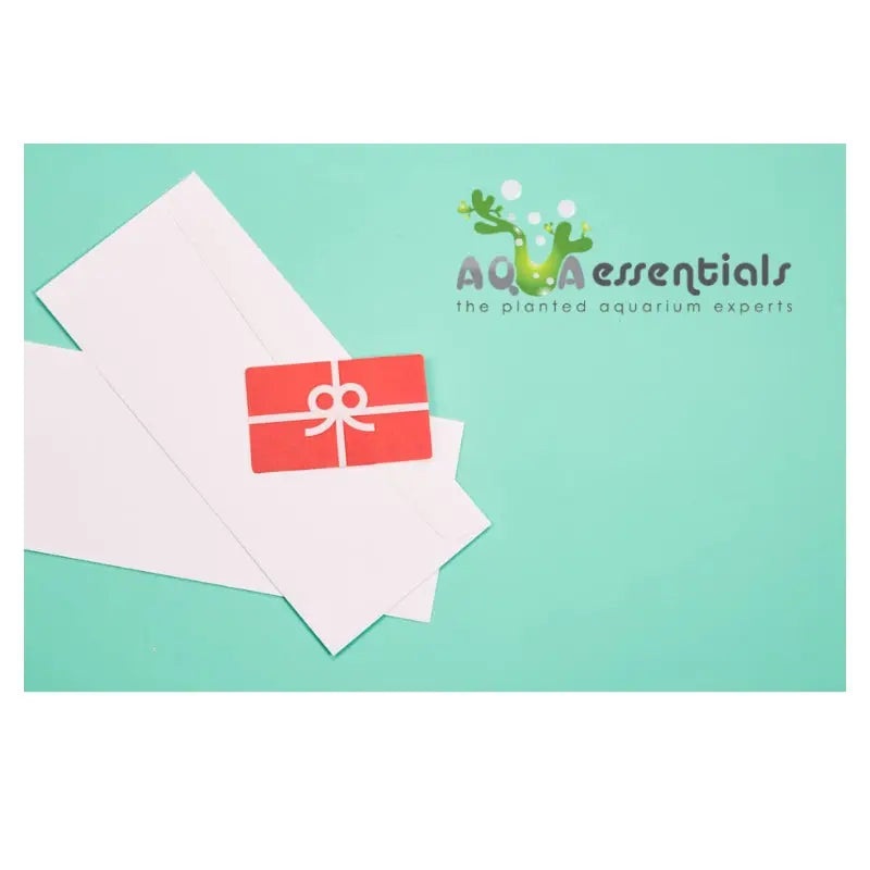 Aqua Essentials Digital Gift Card
