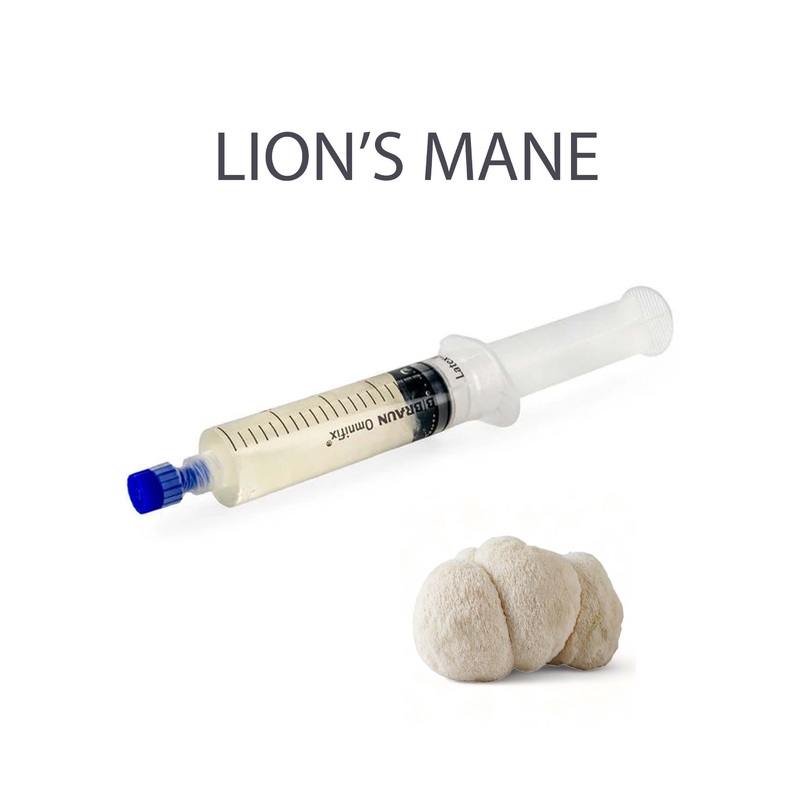 Lion’s Mane Mushroom Liquid Culture