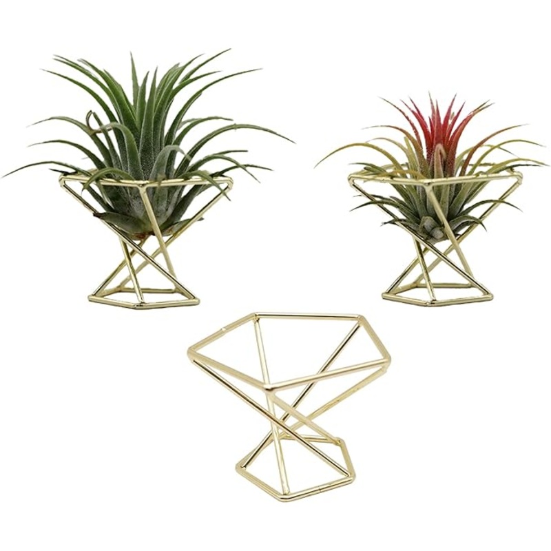 Gold Geometric Air Plant Holder & Display
