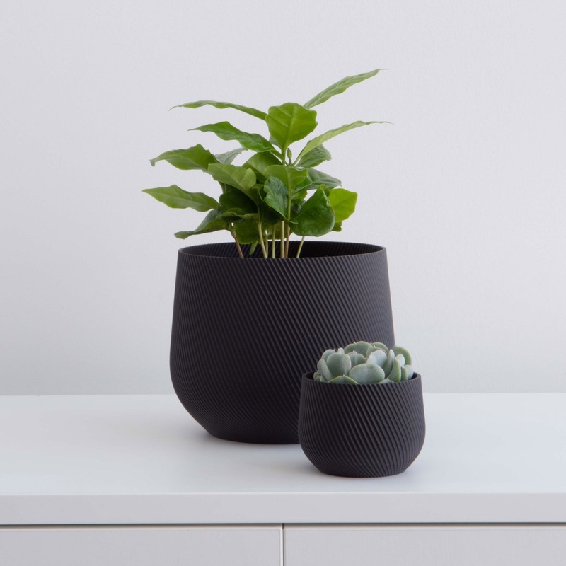 Black Juniper Planter|2 inch|4 inch|6 inch