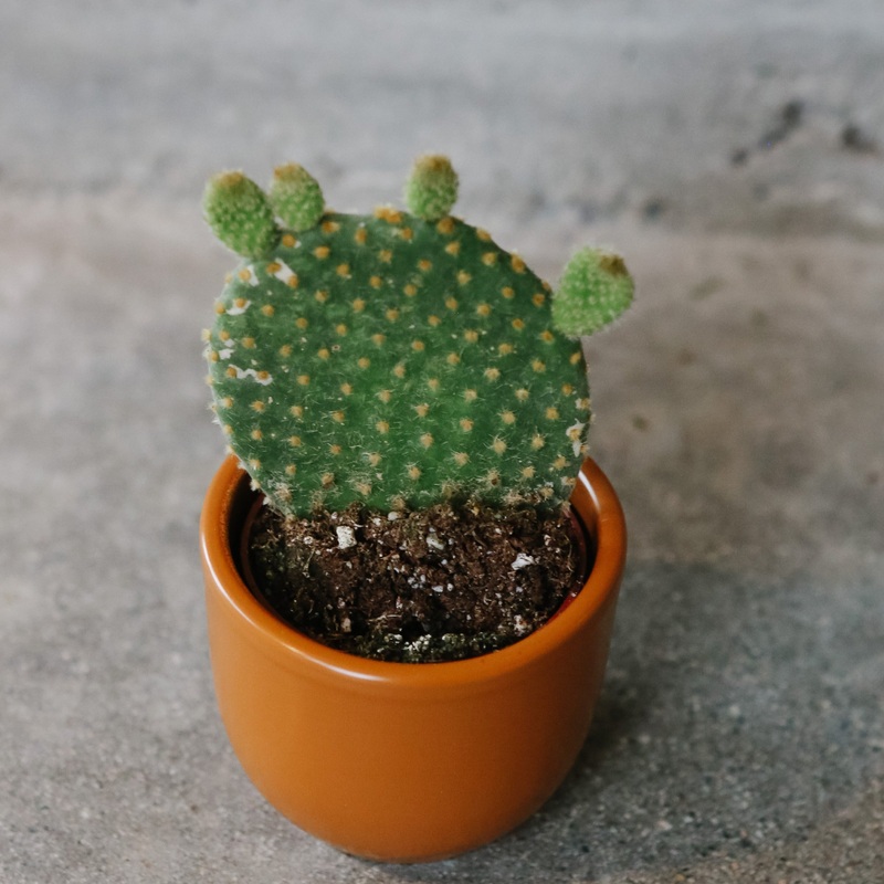 Caramel Tyler Planter|3 inch|Caramel