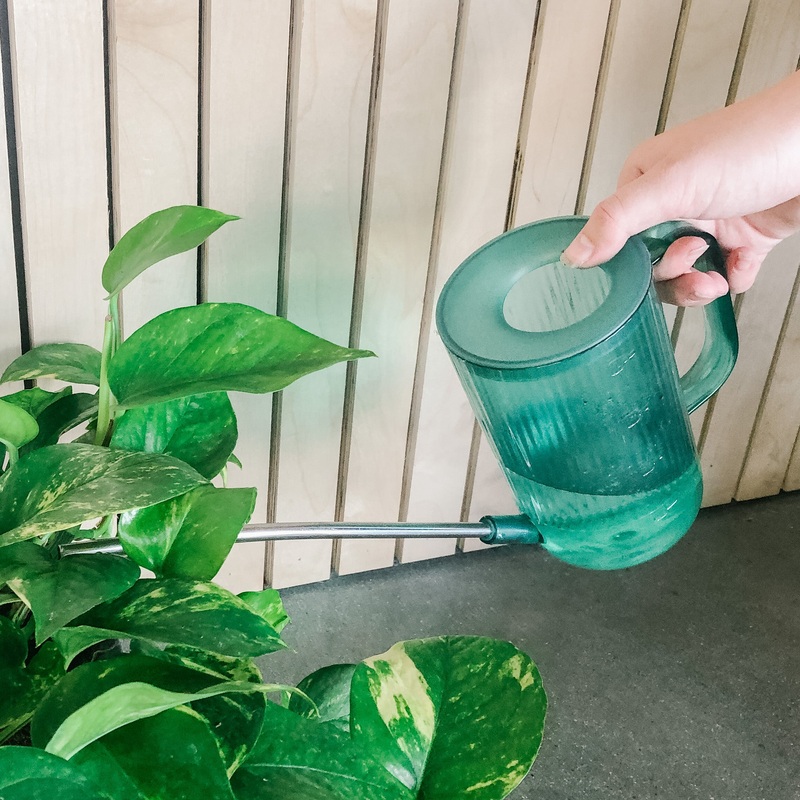 Green Watering Can