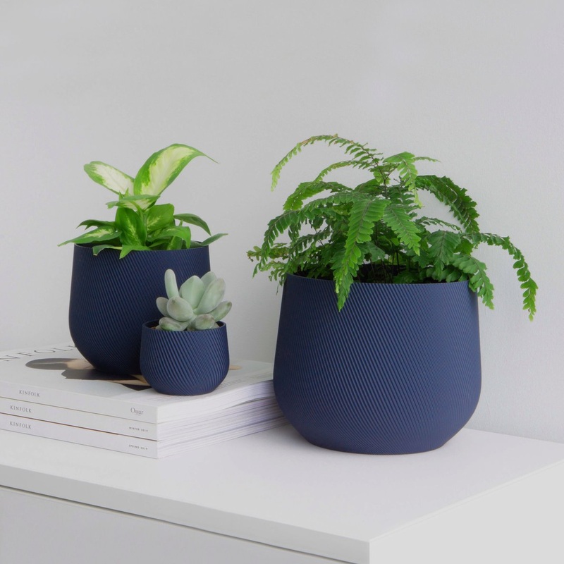 Midnight Blue Juniper Planter|2 inch|4 inch|6 inch