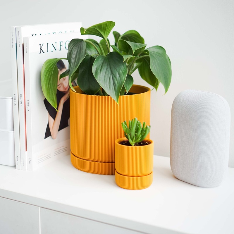 Mustard Yellow Hemlock Planter