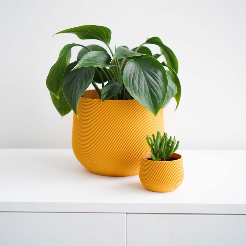 Mustard Yellow Juniper Planter