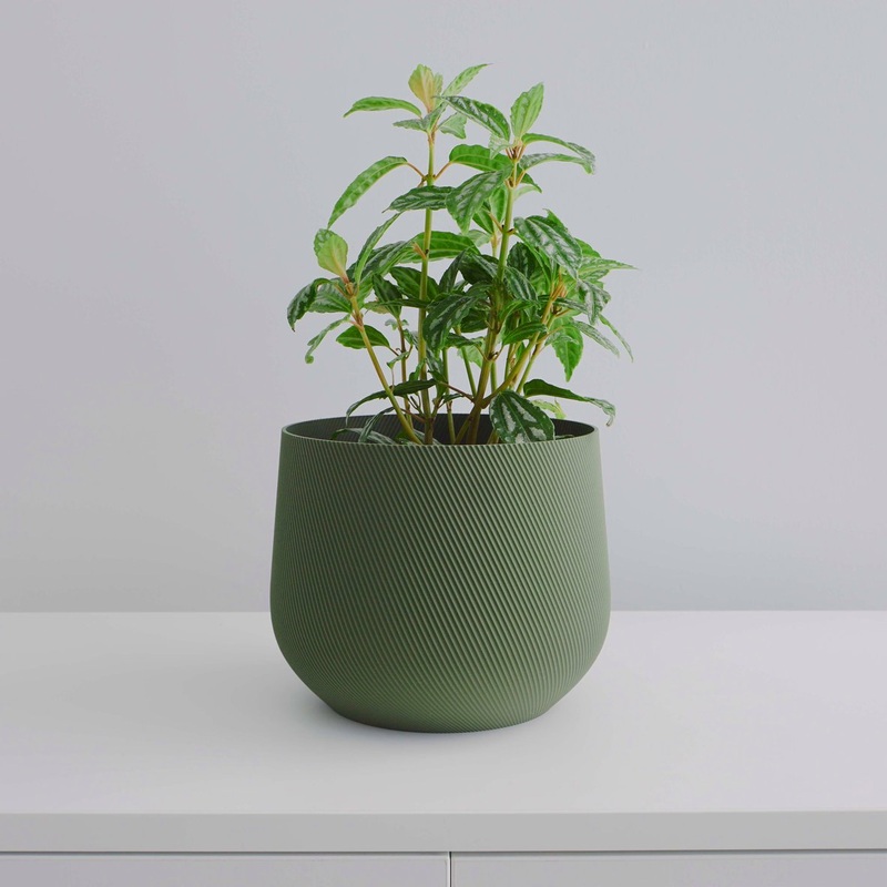 Olive Juniper Planter|2 inch|4 inch|6 inch