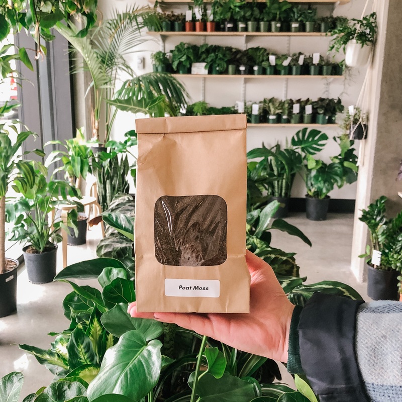Peat Moss|Approx 1L