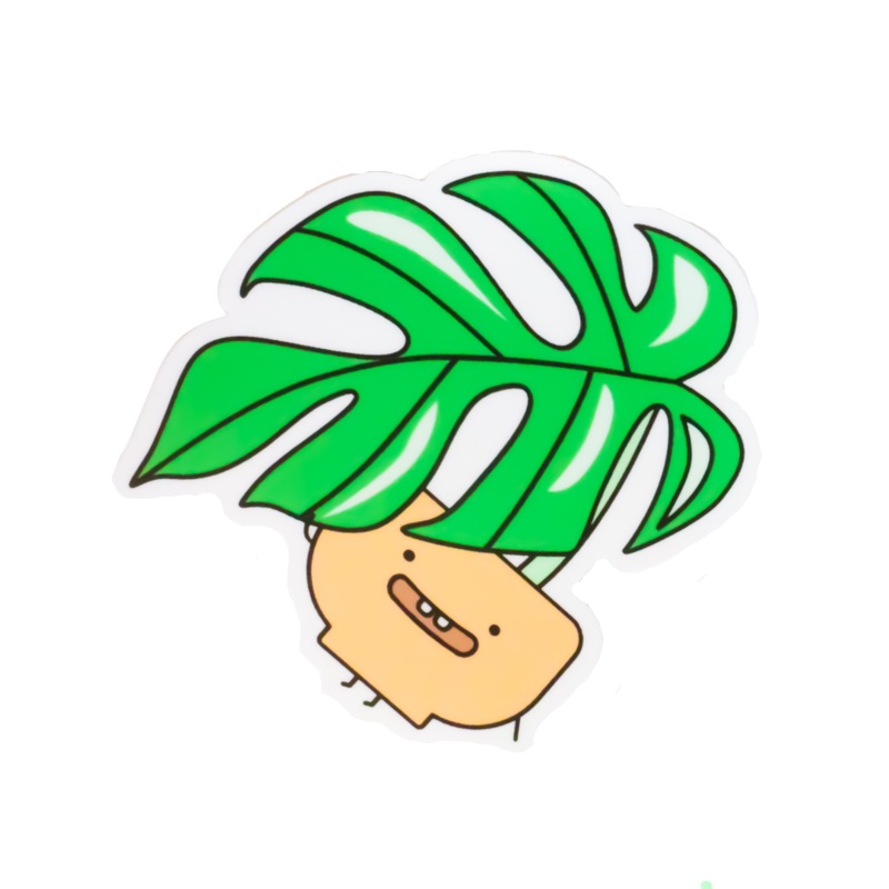 Rhaphidophora tetrasperma Vinyl Sticker