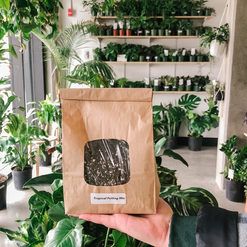 Tropical Potting Mix|Approx 2L|Approx 6L
