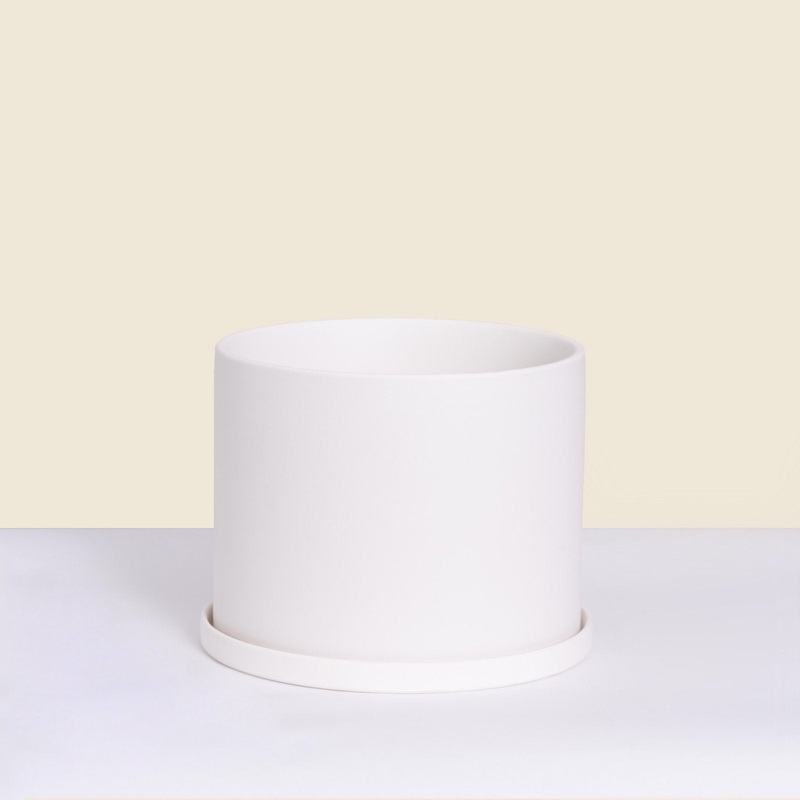White Matte Cylinder|5.5 inch|8 inch