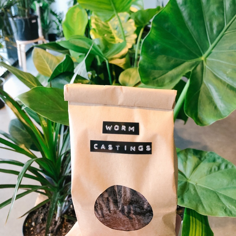 Worm Castings|Medium|Large