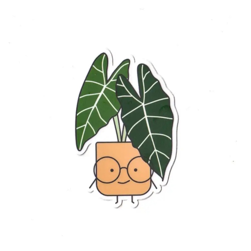 Alocasia Vinyl Sticker