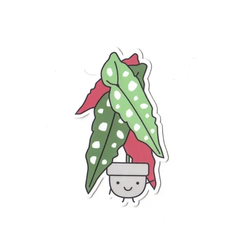 Begonia Vinyl Sticker