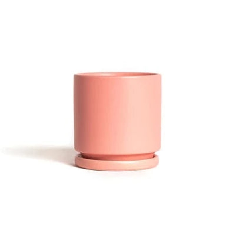 Bubblegum Cylinder Pot with Water Tray