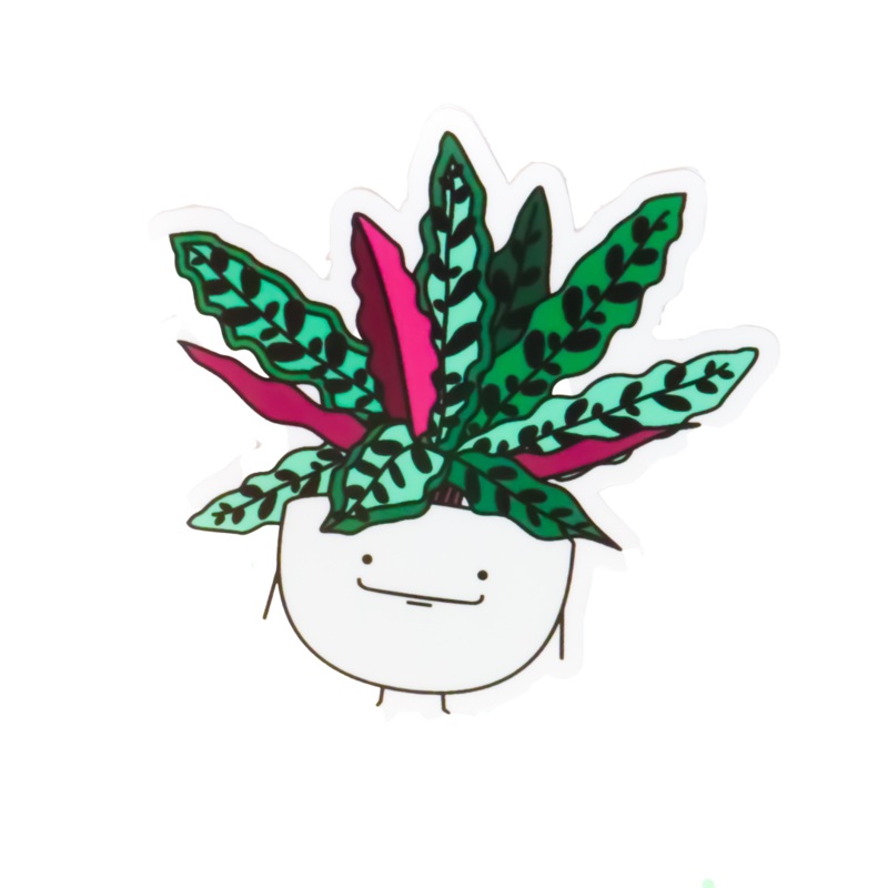 Calathea Rattlesnake Vinyl Sticker