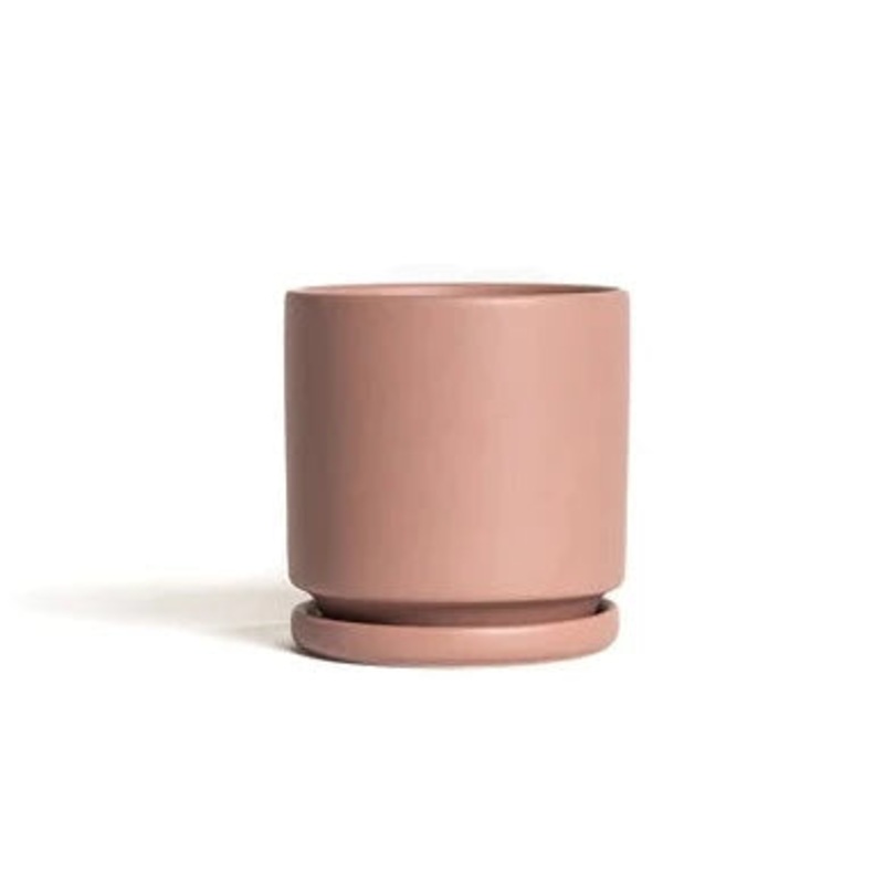 Dusty Rose Cylinder Pot with Water Tray