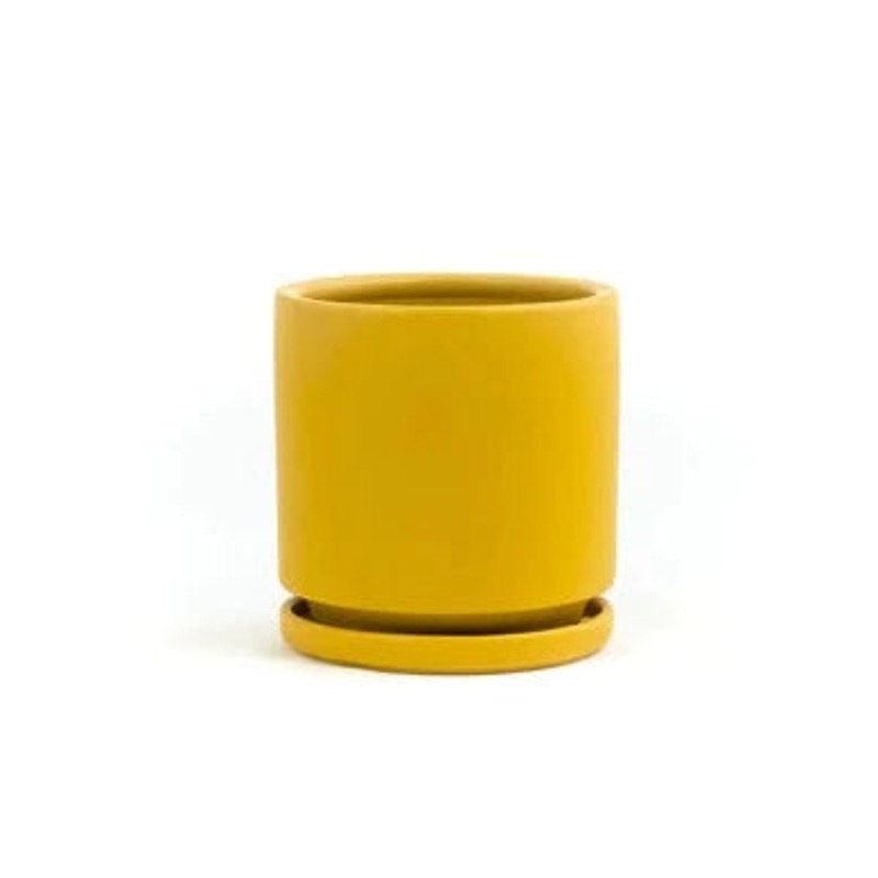 Mustard Cylinder Pot with Water Tray