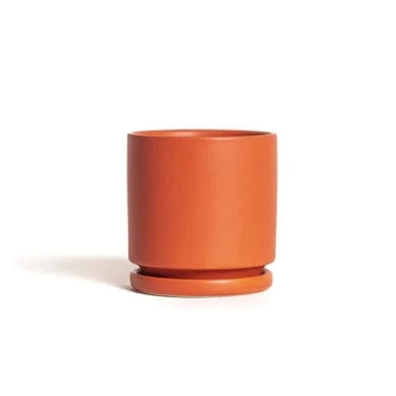 Rust Cylinder Pot with Water Tray