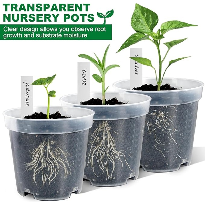 Transparent Nursery Pot|4″|6.5″