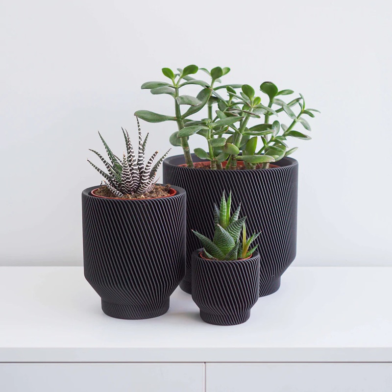 Black Spruce Planter|2 inch|4 inch|6 inch