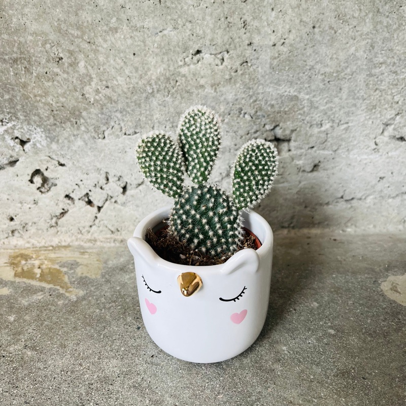 Blushing Unicorn Planter