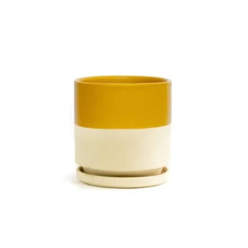 Half Mustard Cylinder Pot with Water Tray