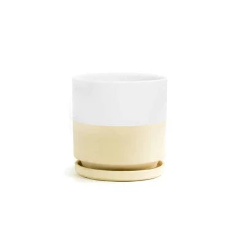 Half White Cylinder Pot with Water Tray
