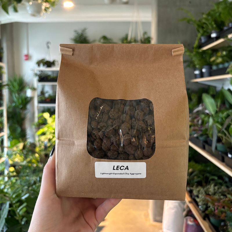 LECA Clay Pebbles|Large (500g)|Extra Large (1500g)