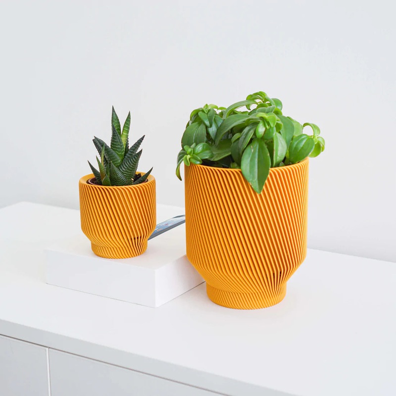Mustard Yellow Spruce Planter|2 inch|4 inch|6 inch