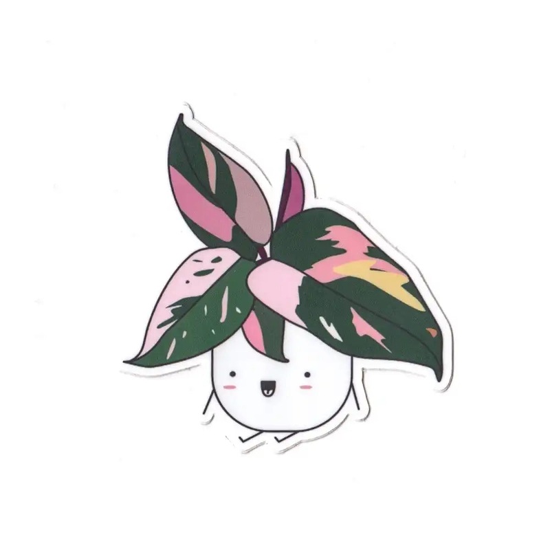 Pink Princess Philodendron Vinyl Sticker