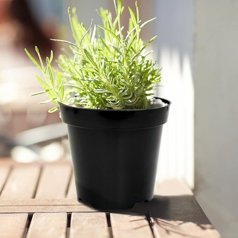 Plastic Nursery Pot|4″ Pot|6″ Pot|8″ Pot|8″ Hanging Basket